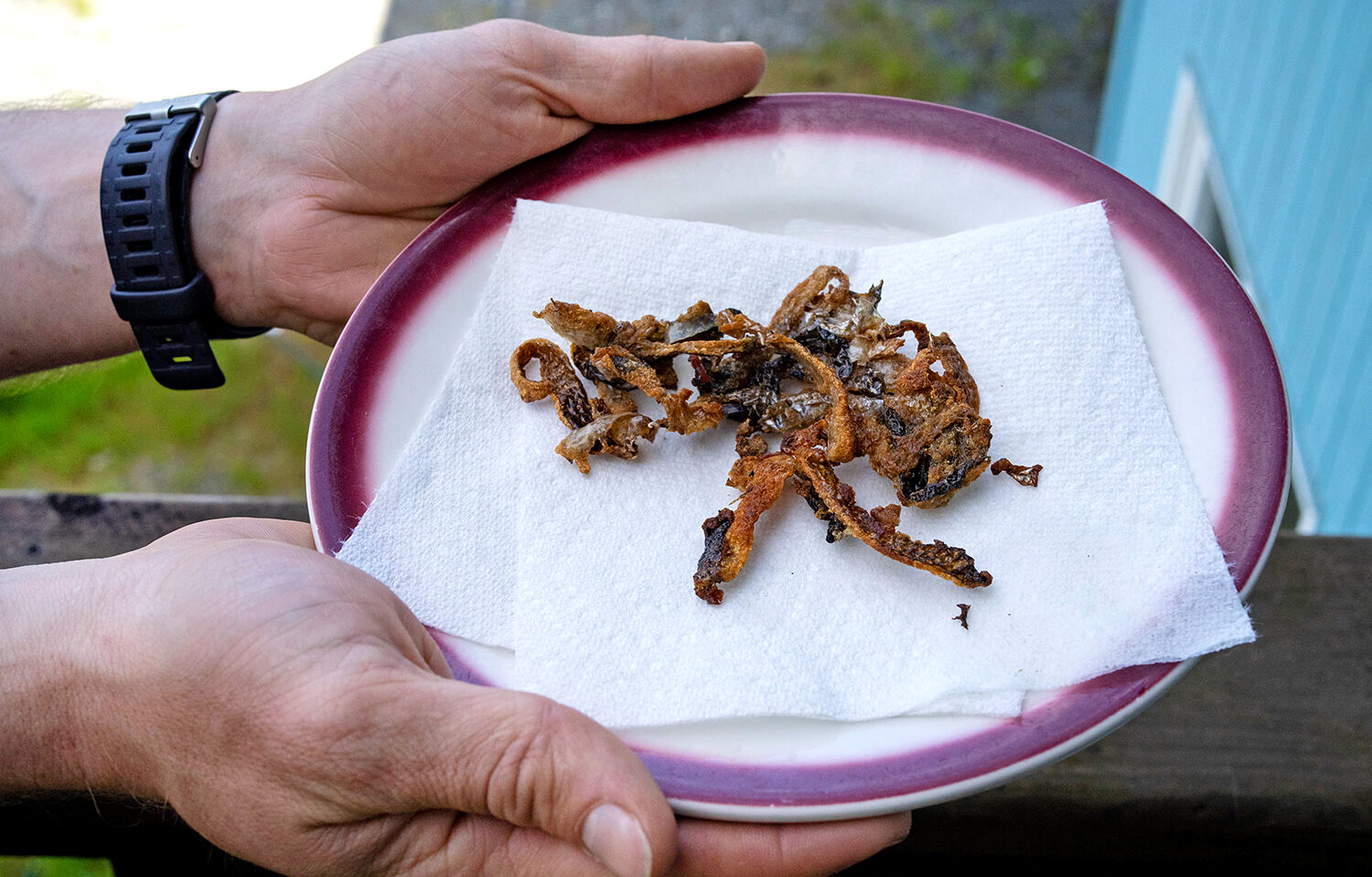 Salmon crispy skin